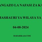 Nafasi Mpya Za Kazi Halmashauri ya Wilaya ya Nzega Augost 2024