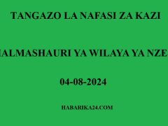 Nafasi Mpya Za Kazi Halmashauri ya Wilaya ya Nzega Augost 2024