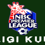 Ratiba Ya Mechi Za Leo Ligi Kuu Ya NBC Tanzania Premier Jumamosi 24/08/2025