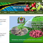 Shule za Sekondari Mkoa wa Songwe