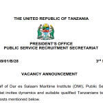 Nafasi Mpya 35 Za Kazi Taasisi ya Dar es Salaam Maritime (DMI) 3-09-2024