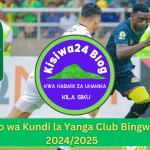 Msimamo wa Kundi la Yanga Club Bingwa Afrika 2024/2025