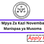Nafasi Mpya Za Kazi Halmashauri Ya Manispaa ya Musoma Novemba 2024