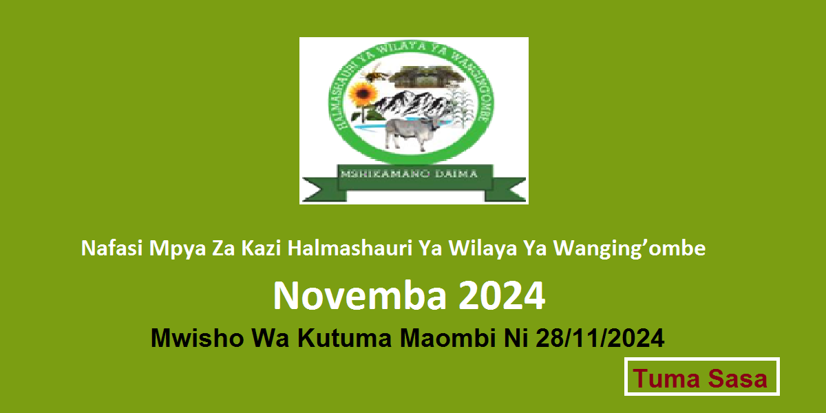 Nafasi Mpya Za Kazi Halmashauri Ya Wilaya Ya Wangingombe Novemba 2024