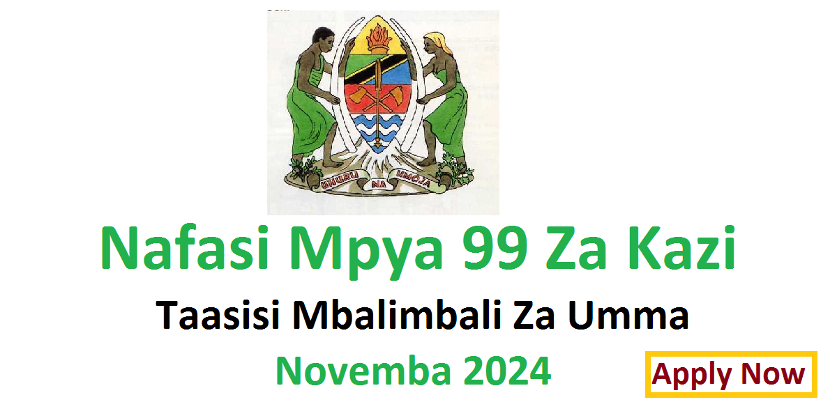 Nafasi Mpya 99 Za Kazi Taasisi Mbalimbali Za Umma Novemba 2024