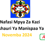Nafasi Mpya Za Kazi Halmashauri Ya Manispaa Ya Iringa Novemba 2024