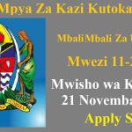 Nafasi Mpya 77 Za Kazi Taasisi Mbali Mbali za Umma Novemba 2024
