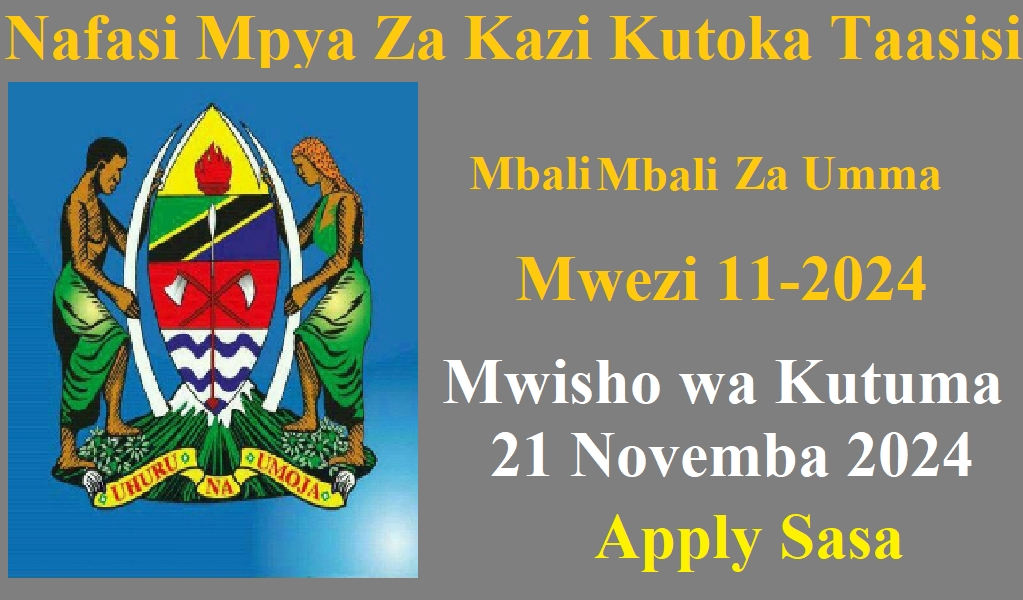 Nafasi Mpya 77 Za Kazi Taasisi Mbali Mbali za Umma Novemba 2024