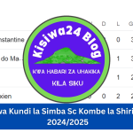 Msimamo wa Kundi la Simba Sc Kombe la Shirikisho Afrika 2024/2025