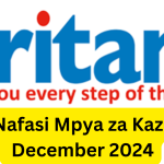 Nafasi za Kazi Kutoka Britam December 2024