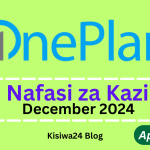 Nafasi za Kazi One Plan Solution December 2024