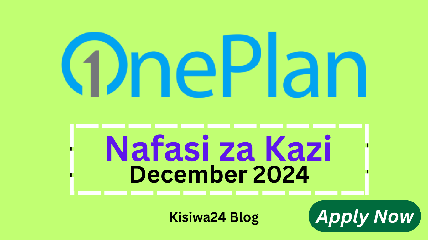 Nafasi za Kazi One Plan Solution December 2024