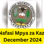Nafasi za Kazi Halmashauri ya Wilaya ya Bukombe December 2024