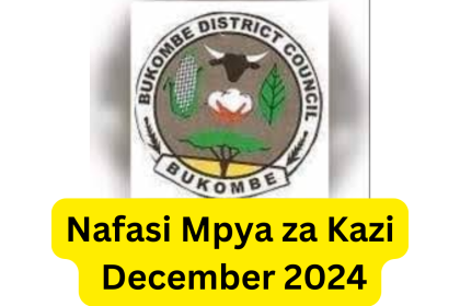 Nafasi za Kazi Halmashauri ya Wilaya ya Bukombe December 2024