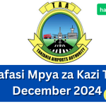 Nafasi Mpya 10 za Kazi Mamlaka ya Viwanja vya Ndege Tanzania(TAA) December 2024