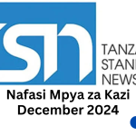 Nafasi za Kazi Kampuni ya Magazeti ya Serikali (TSN) December 2024