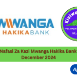 Nafasi Za Kazi Mwanga Hakika Bank December 2024