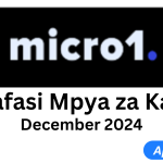 Nafasi Mbalimbali za Kazi Micro1