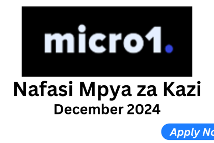 Nafasi Mbalimbali za Kazi Micro1