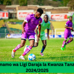 Msimamo wa Ligi ya NBC Championship Tanzania 2024/2025
