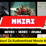 Website Nzuri Za Kudownload Movie Mtandaoni