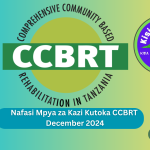 Nafasi Mpya za Kazi Kutoka CCBRT December 2024