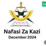 Nafasi Za Kazi Bodi Ya Taifa Ya Wahasibu Na Wakaguzi Wa Hesabu (Nbaa) December 2024