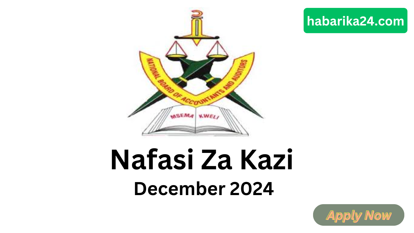 Nafasi Za Kazi Bodi Ya Taifa Ya Wahasibu Na Wakaguzi Wa Hesabu (Nbaa) December 2024