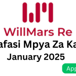 Nafasi za Kazi WillMars Re January 2025