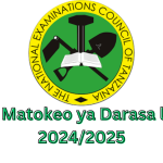Necta Matokeo ya Darasa la NNE 2024/2025