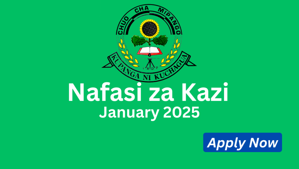 Nafasi Za Kazi Chuo Cha Mipango Ya Maendeleo Vijijini (IRDP) January 2025