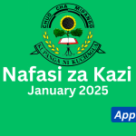 Nafasi Za Kazi Chuo Cha Mipango Ya Maendeleo Vijijini (IRDP) January 2025