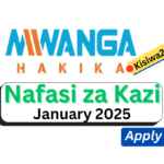 Nafasi Za Kazi Kutoka Mwanga Hakika Bank January 2025