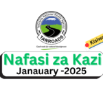 Nafasi za Kazi CAD Technician Kutoka TANROADS