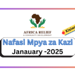 Nafasi za Kazi:- Accountant at Africa Relief