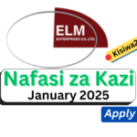 Nafasi za Kazi Sales Officer Kutoka ELM Microfinance January 2025