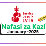 Nafasi za Kazi Accountant Kutoka LVIA