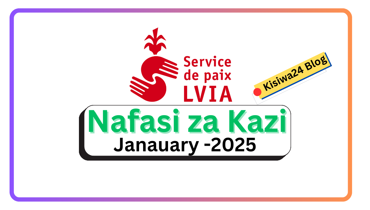 Nafasi za Kazi Accountant Kutoka LVIA