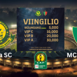 VIINGILIO Mechi ya Yanga vs MC Alger 18 January 2025