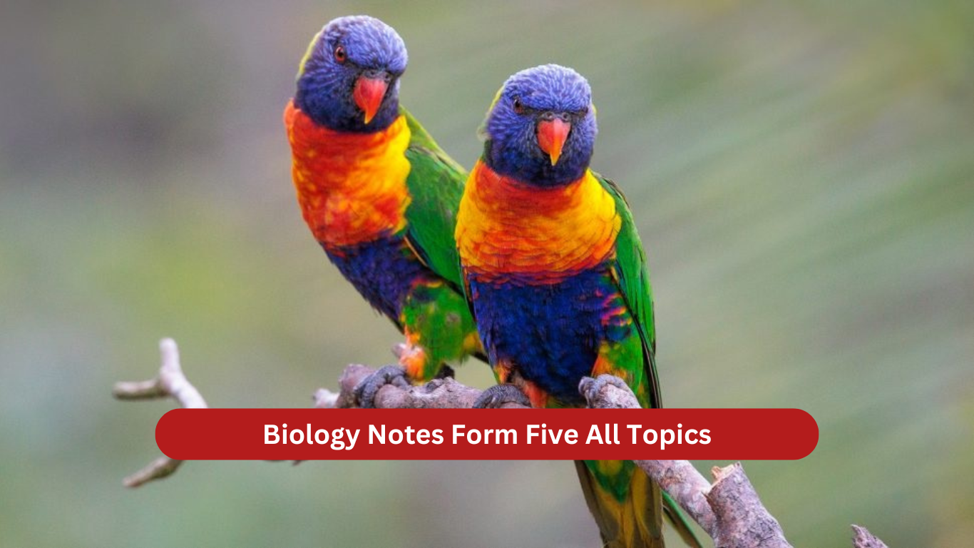 Biology Notes Form Five All Topics