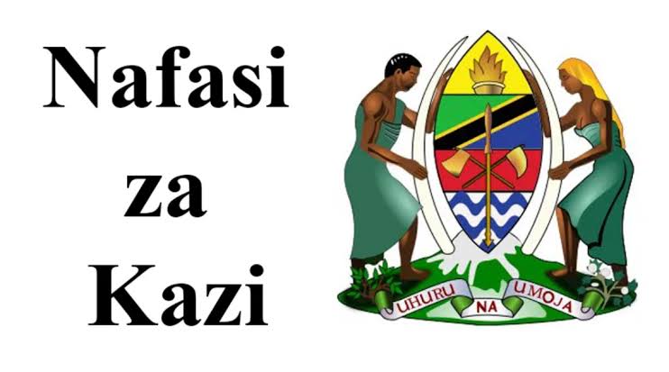 Nafasi za Kazi 475 kutoka MDAs na LGAs January 2025