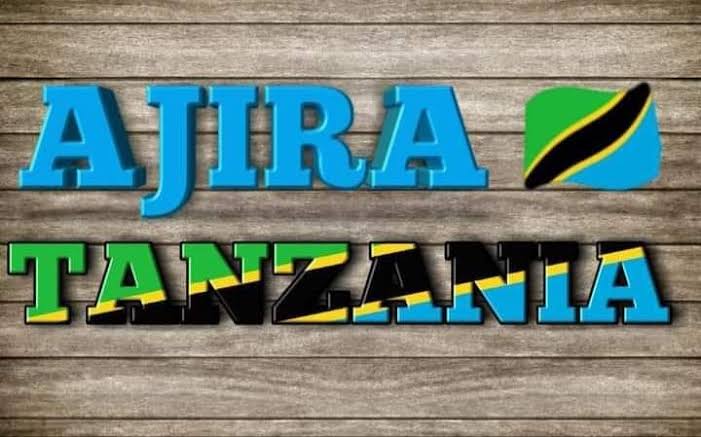 Nafasi za Kazi 102 Kutoka MDAs na LGAs January 2025