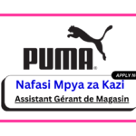 Nafasi za Kazi - Assistant Gérant de Magasin at Puma Group February 2025