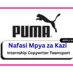Nafasi za Kazi - Internship Copywriter Teamsport at Puma Group February 2025
