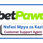 Nafasi za Kazi - Customer Support Agent at BetPawa