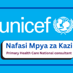 Nafasi za Kazi - Primary Health Care National consultant at UNICEF