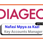 Nafasi za Kazi - Key Accounts Manager at Diageo