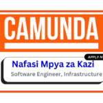 Nafasi za Kazi - Software Engineer, Infrastructure at Camunda February 2025