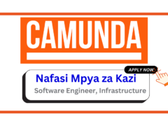 Nafasi za Kazi – Software Engineer, Infrastructure at Camunda February 2025