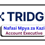 Nafasi za Kazi - Account Executive at Tridge